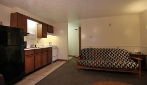 Suite Living Room             